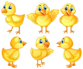 Six cute chicks on white background © GraphicsRF