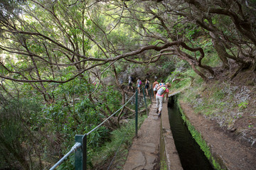 Tourist is walking  along irrigation canals. Historic water supply system, known as Levada in...