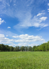 Landscape with blue sky and green grass