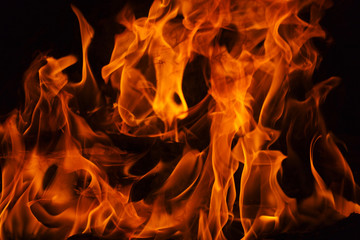 Fototapeta premium Fire flames on black background.
