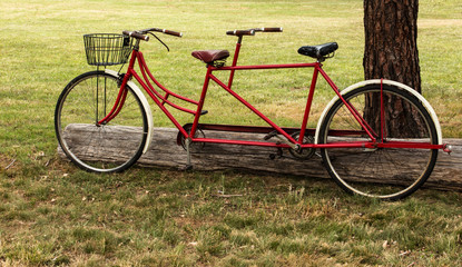 Fototapeta na wymiar Red Tandem bicycle with basket in grass field
