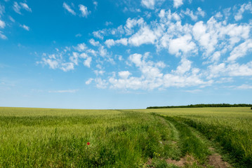 Landscape in Bulgaria