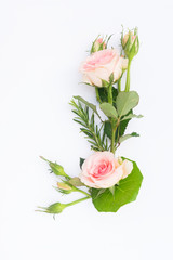 Garden fresh flowers and leaves border on white background