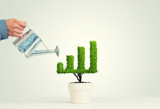 Concept of investment income and growth with tree in pot