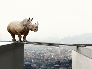 Fototapeta premium abstrakcyjny obraz nosorożca próbującego przejść przez zaimprowizowany most między dwoma budynkami. miasto w tle. koncepcja odwagi i ryzykownego ryzyka