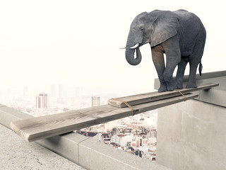  abstract image of an elephant trying to cross an improvised bridge between two buildings. city ​​in the background. courage or danger concept. - obrazy, fototapety, plakaty