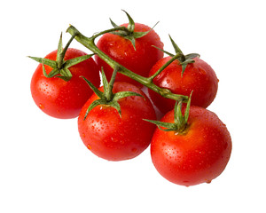 fresh tomatoes isolated on white background