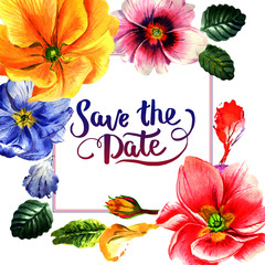 Wildflower primula flower frame in a watercolor style isolated.