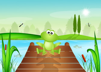 Naklejka premium funny frog in the pond