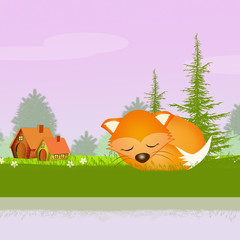 Obraz na płótnie Canvas red fox in spring