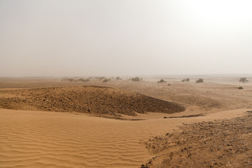 Landscape of Sahara desert in Morocco