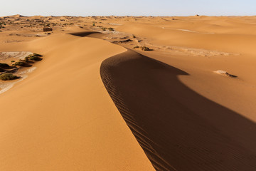 Fototapeta na wymiar Landscape of Sahara desert in Morocco