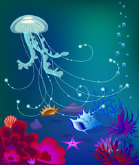 Vector jelly fish underwater world, sea shell