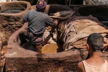 Tannery in Fes, Morocco