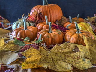 autumn still life