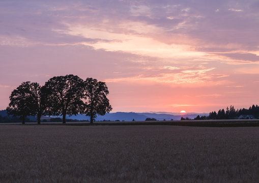 Colorful Sunset in Rural Farm Land