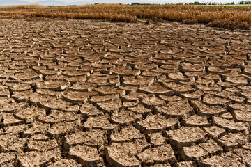 Die große Trockenheit