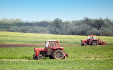 Obraz premium Tractors cutting lucerne