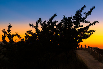 Teufelsmauer im Harz in der blauen Stunde
