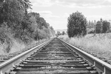 Fototapeta premium Train Tracks in the Countryside