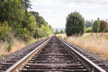 Train Tracks in Green Summer Landscape