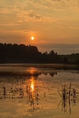 Naklejka premium Beautiful sunset with clouds on the lake overgrown with grass