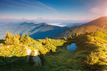 Naklejka na ściany i meble Nice view of the green hills. Location place Carpathian, Ukraine, Europe