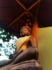 Buddha statue