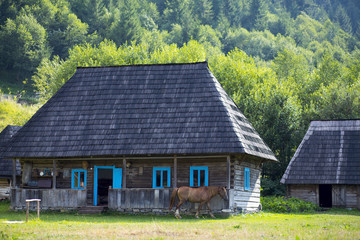Obraz premium A horse grazes near the wooden national Ukrainian house in the Carpathian mountains