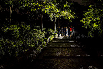 Silhouettes of group of young people standing on stair way at night. Barcelona, Spain