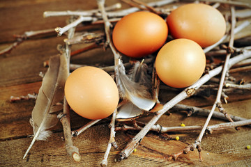 Eggs, nest