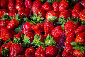 Fresh Strawberry Background. sweet strawberries