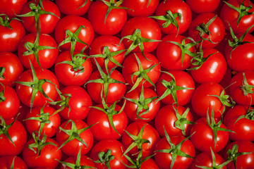 red tomatoes background. Group of tomatoes.tomato