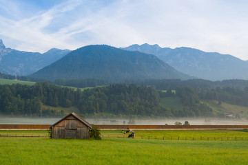 Fototapeta na wymiar On the farm in Planai, Austria