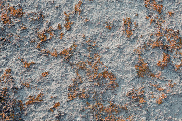 Zasvetilsya from the time a concrete wall