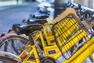 Row of yellow bikes in city center at night