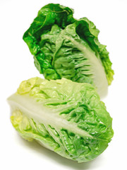 Kopfsalat