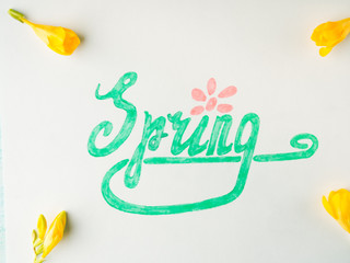 Spring word spelling by hand lettering and yellow flowers frame. Flat lay season mood