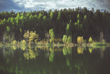 Отражение леса озеро в воде зеркальное