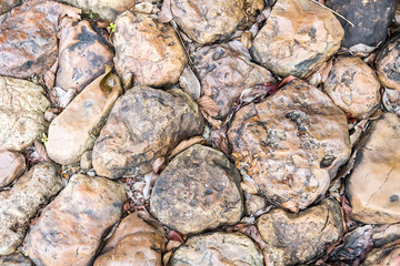 Texture of cobblestone pavement