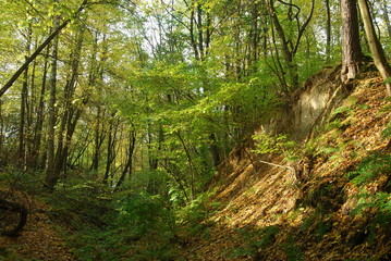 Wrzelowiecki Park Krajobrazowy.