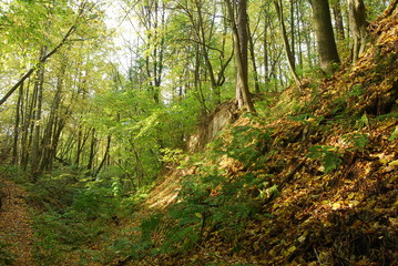 Wrzelowiecki Park Krajobrazowy.