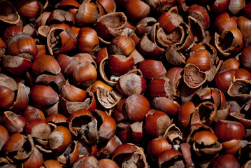 Texture of hazel nutshell