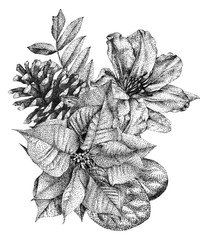 Composition of different flowers and plants drawn by hand with black ink. .Graphic drawing,...
