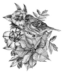 Composition of different flowers, birds and plants drawn by hand with black ink. .Graphic drawing,...