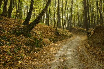 Kazimierski Park Krajobrazowy.