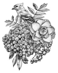 Composition of different flowers, birds and plants drawn by hand with black ink. .Graphic drawing,...