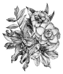 Composition of different flowers and plants drawn by hand with black ink. .Graphic drawing,...