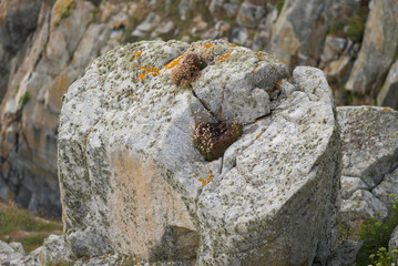 Bretagne Felsküste