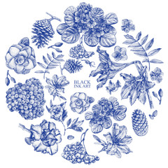 Set of different spring flowers and plants drawn by hand with black ink. .Graphic drawing,...